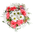This expertly arranged bouquet captures the fresh energy of spring in Bexley, where white daisies with brilliant lime centers are nestled amidst coral-pink carnations, their ruffled petals radiating joy. Delicate clouds of baby's breath float through the arrangement, softening the palette and adding a dreamlike lightness that invites close inspection. Subtle buds of alstroemeria, tinged with blush and purple, foreshadow a future blossoming. Silvery eucalyptus leaves peek through lush greens, infusing the design with cool undertones that evoke the gentle, refreshing breezes found in Bexley's parks. Every element-colour, texture, and form-is in service of uplifting mood and occasion, whether as a birthday surprise, a thoughtful gift for North Cray neighbours, or to brighten up a local office. The arrangement exudes the expertise and care characteristic of Bexley's beloved independent florists and is available for same-day delivery throughout the area.